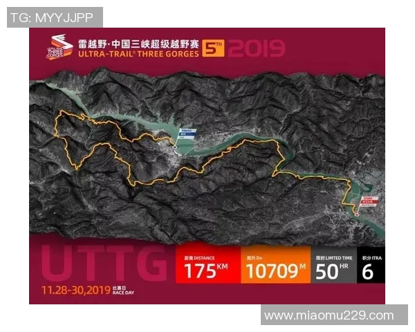 西安羽毛球队在世锦赛中的蜕变与发展历程全景回顾